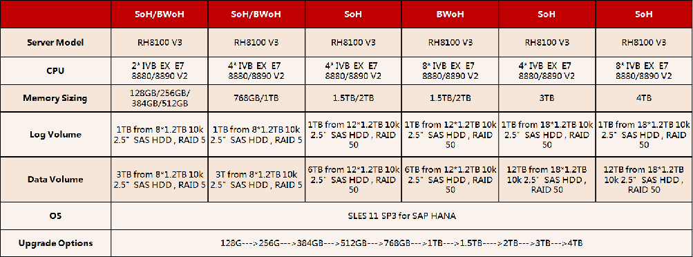 Huawei RH8100 SAP HANA solution common configuration