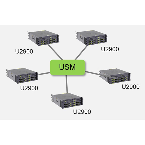 CDS (USM for ICP) | ActForNet