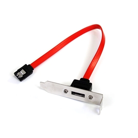 ESATAPLT1LPL | ActForNet