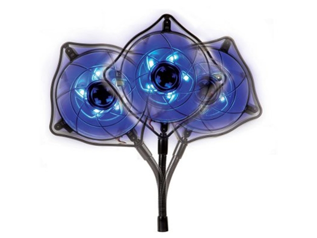 SPOT COOL 100 | ActForNet