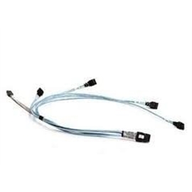 CBL-0388L-01 | ActForNet