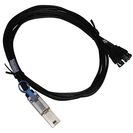 EXT-MS-1MEJ | ActForNet