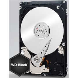 WD2500LPLX | ActForNet