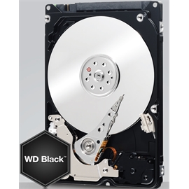 WD3200LPLX | ActForNet