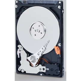 WD3200LUCT | ActForNet