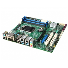 919-98D6-001 | ActForNet