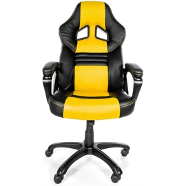 MONZA-YL | ActForNet