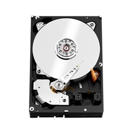 WD6002FFWX | ActForNet