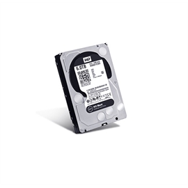 WD4004FZWX | ActForNet