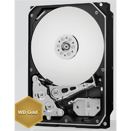 WD1005FBYZ | ActForNet