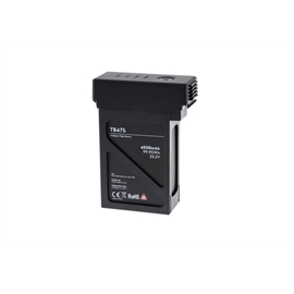 CP.SB.000287 | ActForNet