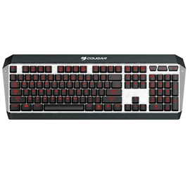 ATTACKX3-RGB-3 | ActForNet