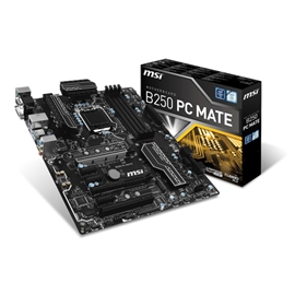 B250 PC MATE | ActForNet