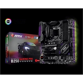 B250 GAMING PRO CARBON | ActForNet