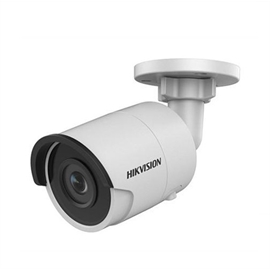 DS-2CD2055FWD-I 4MM | ActForNet