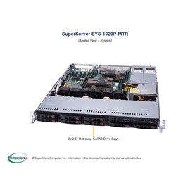 SYS-1029P-MTR | ActForNet